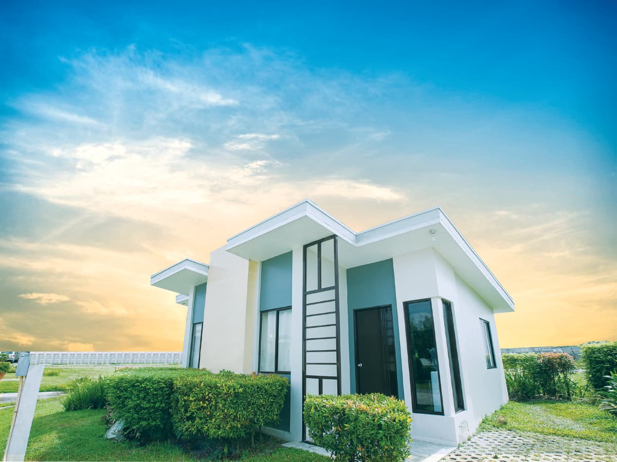 Amaia Scapes Lucena